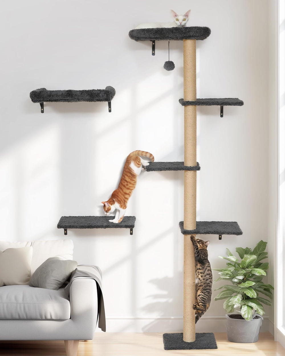 FUKUMARU cat wall shelves wood frame for sturdy play and climb