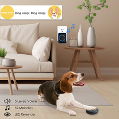 Full House receiver with multiple ringtone options improves notifications