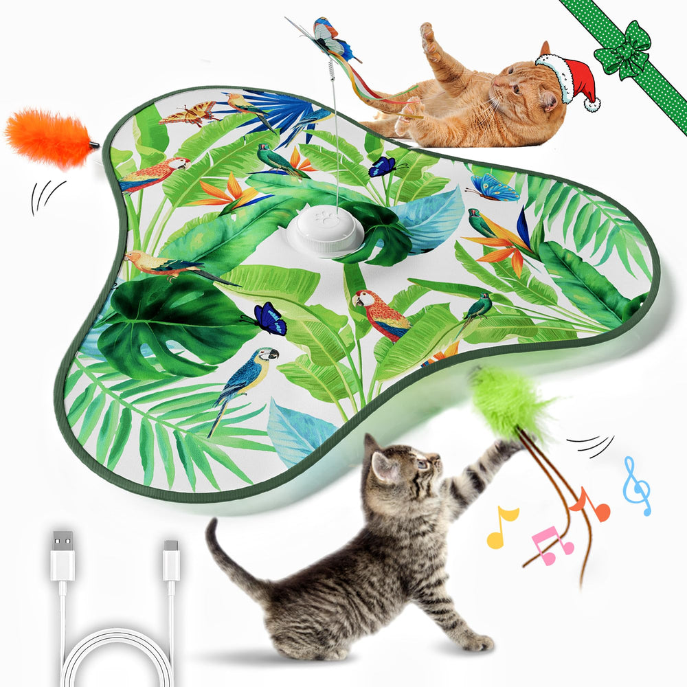 FULUPET interactive cat toy in hide-seek mode engages indoor cats.