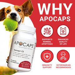 Functional Nutriments Apocaps CX dog bottle showing easy daily dosing for canine wellness.