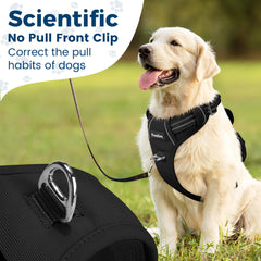 Funfox dog harness adjustable straps and buckles let you tailor fit