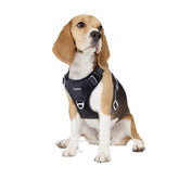 Funfox dog harness no-pull back clip enables easy control during everyday walks