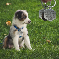 Funny Dog Tag humorous inscription helps attract attention when pets wander.