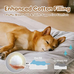 Funny Fuzzy bed mat in vehicle ready for travel with pet