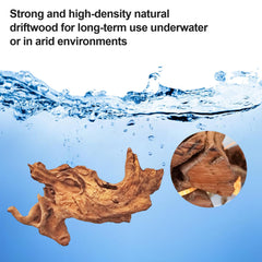 FUNOJOY driftwood aquarium-branch sinks and stays stable in tanks
