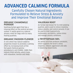 Fur Belly Hemp Calming Chews dog resting after a calming moment