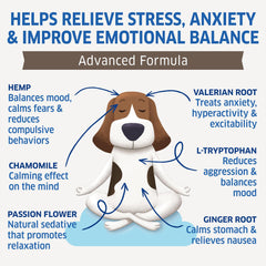 Fur Belly Hemp Calming Chews package front for convenient stress relief