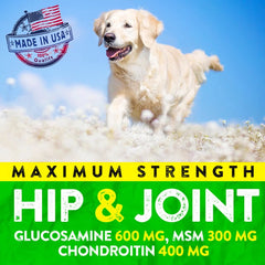 FURALAND dog hip joint walking scene highlights boosted mobility for everyday activities.