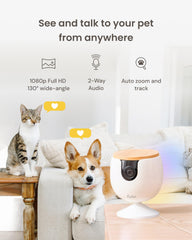 Furbo Mini wall-mount view highlights pet activity from above with easy setup