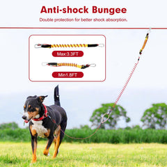 Furggis Runner anti-shock bungee absorbs impact during high-speed runs
