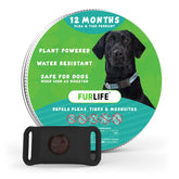 FurLife black dog tag on collar close-up—lightweight, secure daily wear for everyday use.