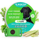 FurLife Green Dog Tag close-up on collar for lightweight daily wear