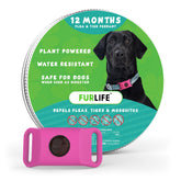 FurLife pink dog tag closeup highlighting lightweight daily-wear comfort