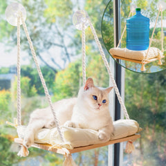 Furrfinity cat window perch on solid pine bed for sturdy sunlit naps