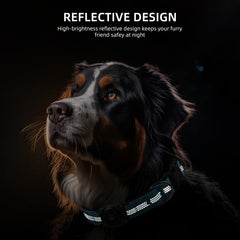 Furrigo AirTag dog collar blue interior padding keeps your dog comfortable during wear.