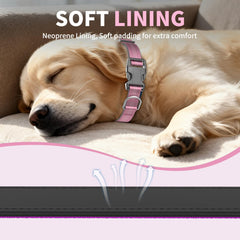 Furrigo heavy-duty-dog-collar-soft-padding delivers durable comfort during active daily adventures.