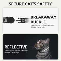 Furrigo lightweight AirTag cat collar on kitten demonstrates comfortable all-day wear.