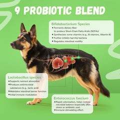 Furrolika Probiotics for Dogs bottle label highlights USA-made quality