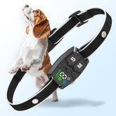 Furryastro bark collar on a small dog with a comfortable-fit for daily training
