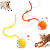 FurryJoy Interactive Smart Ball Toy with bird sounds engages cats and dogs during indoor play