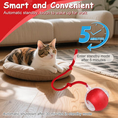 FurryJoy Interactive Smart Ball Toy offers three speeds to match your pet’s energy