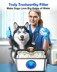 FurryPlanet large dog fountain stainless steel 12L shows durable design for steady water supply