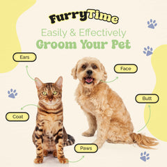 FURRYTIME nourishing ingredients featuring aloe vera and pomegranate close-up