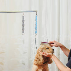 FURSDOLY quick-release noose ensures gentle, reliable restraint while you work.