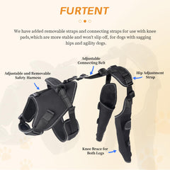 Furtent Hind leg wrap on a dog illustrating secure, comfortable fit
