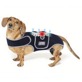 Furtent dog back brace with six metal strips provides spinal support for IVDD and arthritis.