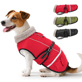 FURTIME dog coat-warm-winter-jacket keeps dogs cozy on cold walks.