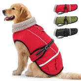 FURTIME dog winter coat XL on a dog in snow for weatherproof protection