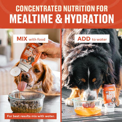 Furvor beef bone broth for dogs hydration helper encourages water intake.