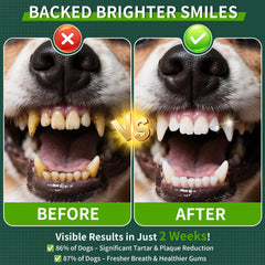 Fuzzycare 150g pack highlights long-lasting dental care supply