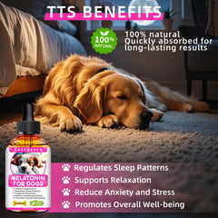 Fuzzycare Melatonin for dogs helps dogs drift into peaceful sleep.