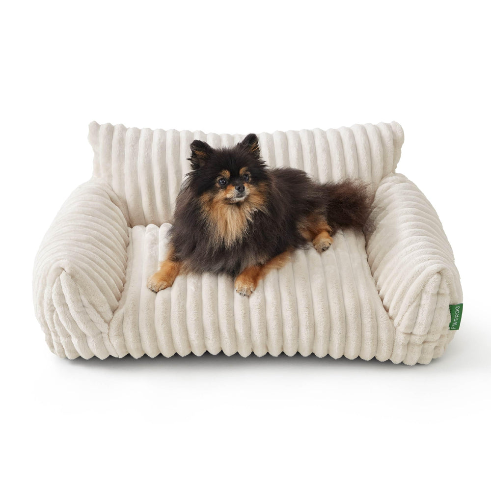 FWERDG Cute Couch Bed front view showing cozy pet resting for a nap