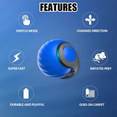 FXBUAF Speedy Tail 2.0 in action captures hunting-like movement for interactive fun.