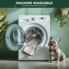 FXW dog pad – eco-friendly reusable design saves money