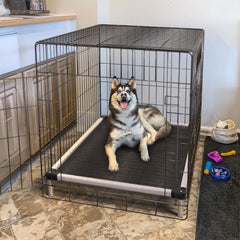 FXW TitanNest heavy-duty frame supports up to 170 lbs for energetic dogs.