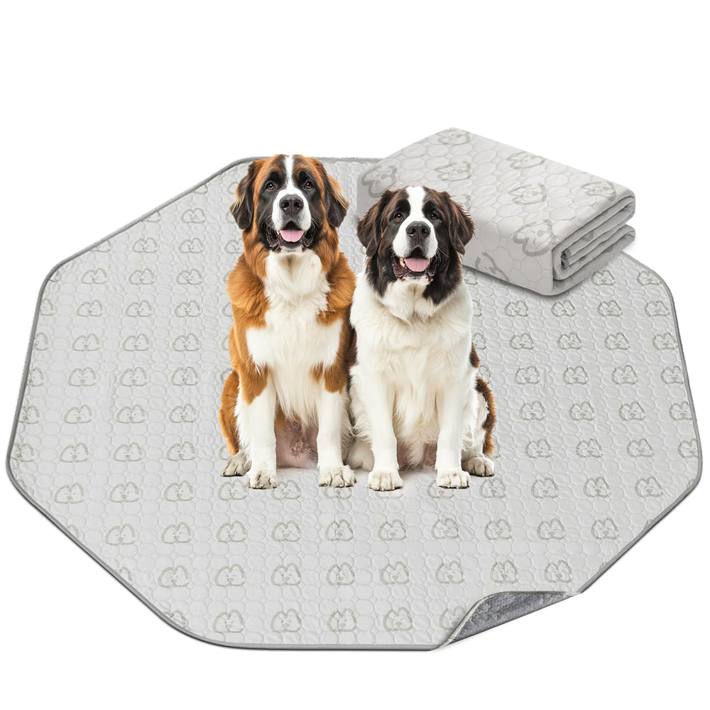 FXW washable pee pad showing absorbent layer that keeps space clean and dry.