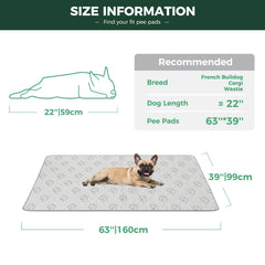 FXW washable pee pad waterproof shield keeps floors protected during puppy routines.