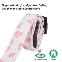 FYEQYAOU collar on a small dog illustrating fit and movement during daily walks.