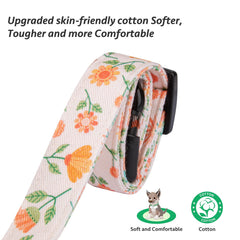 FYEQYAOU exclusive-design dog collar offering a unique look on walks