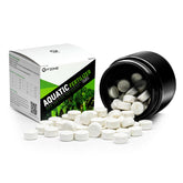 FZONE Root Tabs 80-tabs-box demonstrating long-lasting fertilizer for lush freshwater plants