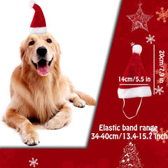 GABraden dog Santa hat elastic band detail helps secure a comfortable fit.