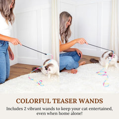 GADGETSOLOGY Cat Toys Set suction-cup-wand turns windows into interactive play spaces