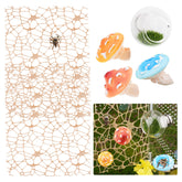 GAGILAND glass ball habitat with 360-degree viewing for observing jumping spiders