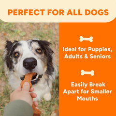Gaines Family Farmstead chew texture close-up, ideal for puppies and seniors.