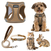 Gamuda small pet harness worn on a dog showing step-in design and adjustable straps