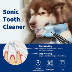 Ganciu dog LED-light on for improved visibility during cleaning.